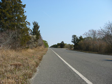 island beach state park