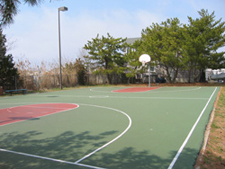 basketball court